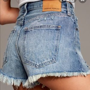 Aritzia Denim Forum Ex Boyfriend Short